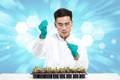 《咚奇刚：蕉力全开》监督：不要过度解读游戏细节